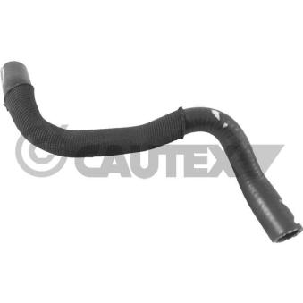 Durite de radiateur CAUTEX 771382