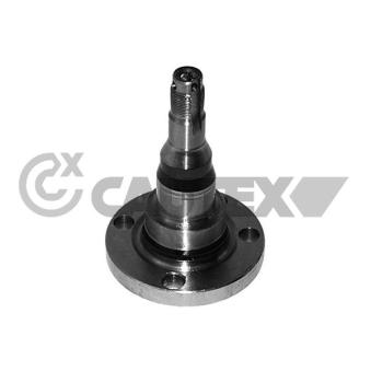 Fusée d'essieu, suspension de roue CAUTEX 772046