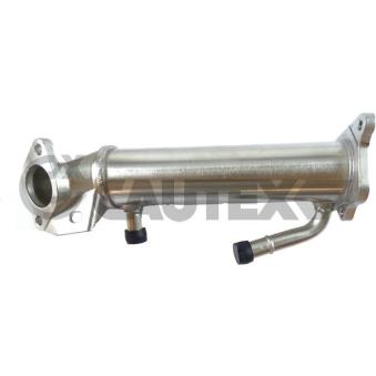 Radiateur, réaspiration des gaz d'échappement CAUTEX 772088