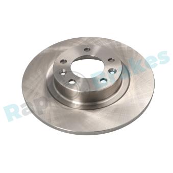 Jeu de 2 disques de frein arrière RAP BRAKES