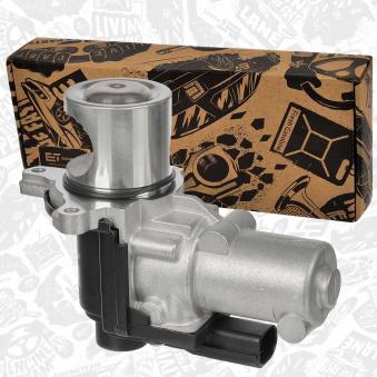 Vanne EGR ET ENGINETEAM