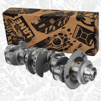 Vilebrequin ET ENGINETEAM