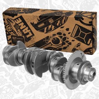 Vilebrequin ET ENGINETEAM