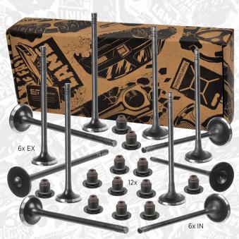 Kit de soupapes, soupapes d'admission/d'échappement ET ENGINETEAM