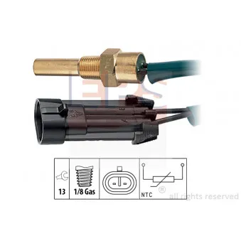Sonde de température, liquide de refroidissement EPS