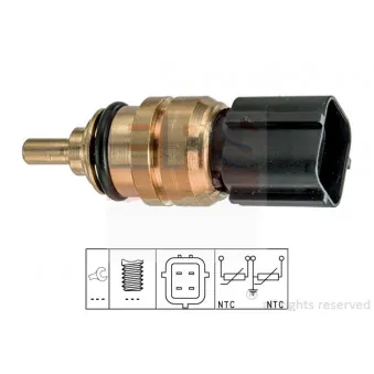Sonde de température, liquide de refroidissement EPS