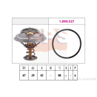 Thermostat d'eau EPS