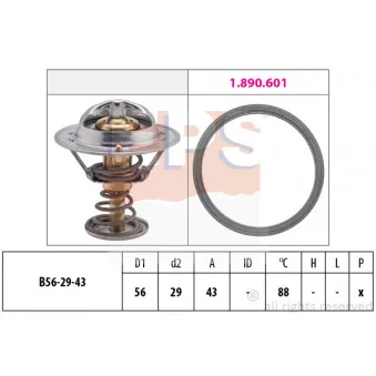 Thermostat d'eau EPS