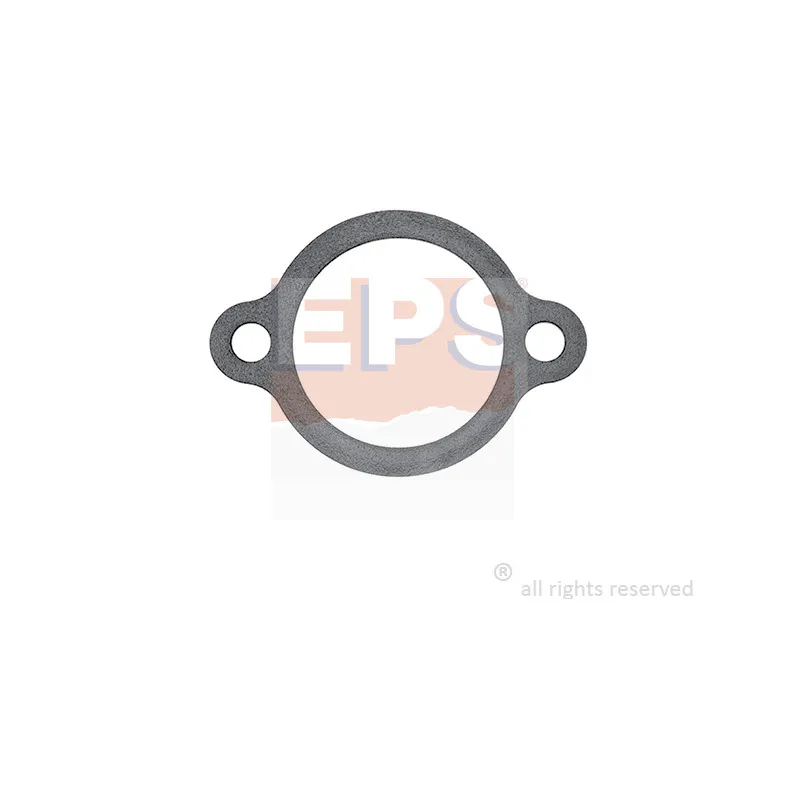 Joint d'étanchéité, thermostat EPS 1.890.586