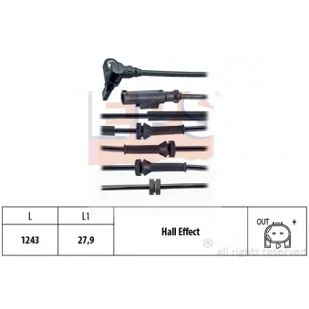 Capteur, vitesse de roue EPS