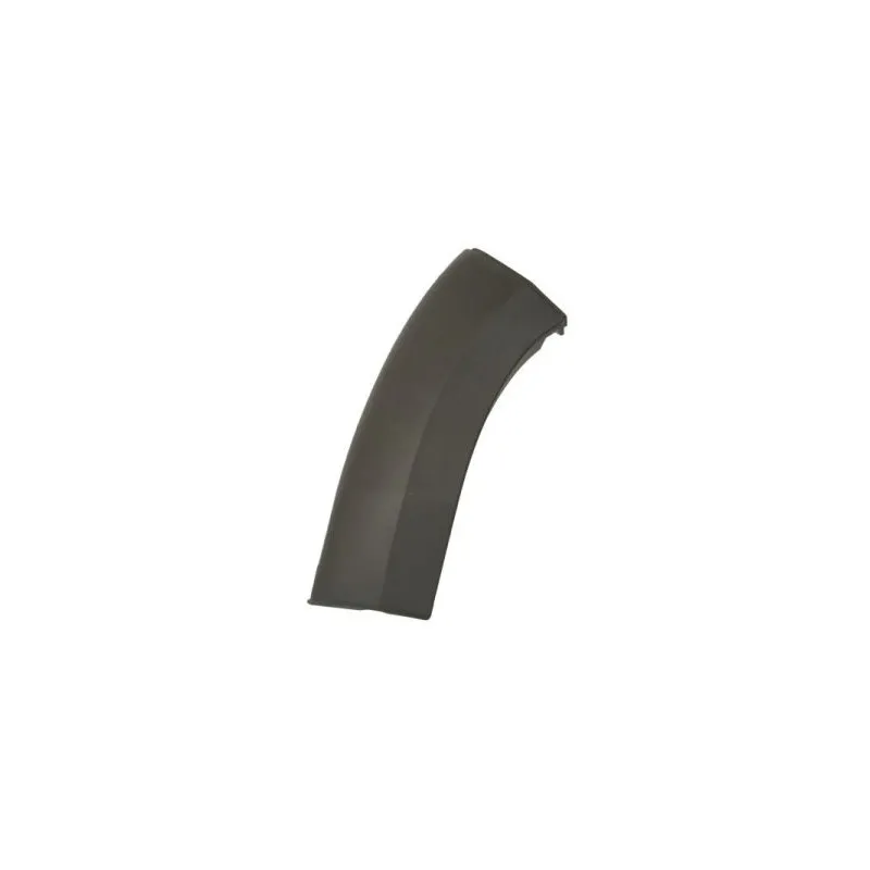 Baguette et bande protectrice, aile avant droit BLIC 5703-05-2098922P