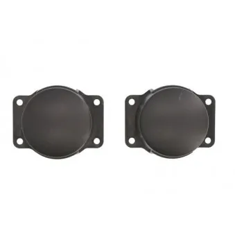 Grille de ventilation, pare-chocs BLIC 5703-05-6011910P