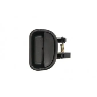 Poignet de porte, équipment intérieur arrière gauche BLIC 6010-09-029410LWP