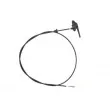 Tirette de capot moteur BLIC 6010-21-015451P - Visuel 2