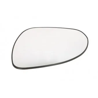 Verre de rétroviseur, rétroviseur extérieur BLIC
