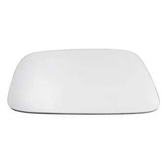 Verre de rétroviseur, rétroviseur extérieur BLIC 6102-02-5500895P