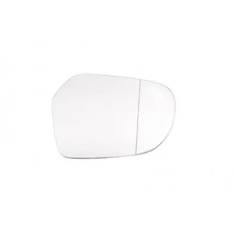 Verre de rétroviseur, rétroviseur extérieur BLIC 6102-02-6700491P