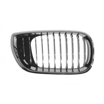 Grille de radiateur avant droit BLIC 6502-07-0061994AP