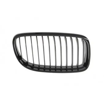 Grille de radiateur avant droit BLIC 6502-07-0062992BP