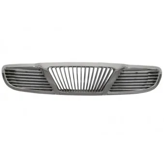 Grille de radiateur BLIC