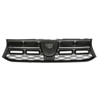 Grille de radiateur BLIC 6502-07-1304990P