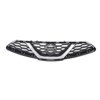 Grille de radiateur BLIC 6502-07-1610991P