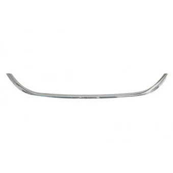 Baguette et bande protectrice, grille de radiateur BLIC 6502-07-2030993P