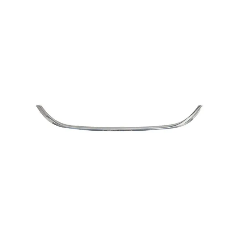 Baguette et bande protectrice, grille de radiateur BLIC 6502-07-2030993P