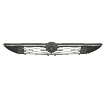 Grille de radiateur BLIC 6502-07-2044991P