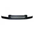 Grille de radiateur BLIC 6502-07-2515991P - Visuel 1