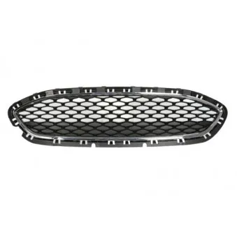 Grille de radiateur BLIC 6502-07-2566990P