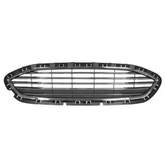 Grille de radiateur BLIC 6502-07-2566991P