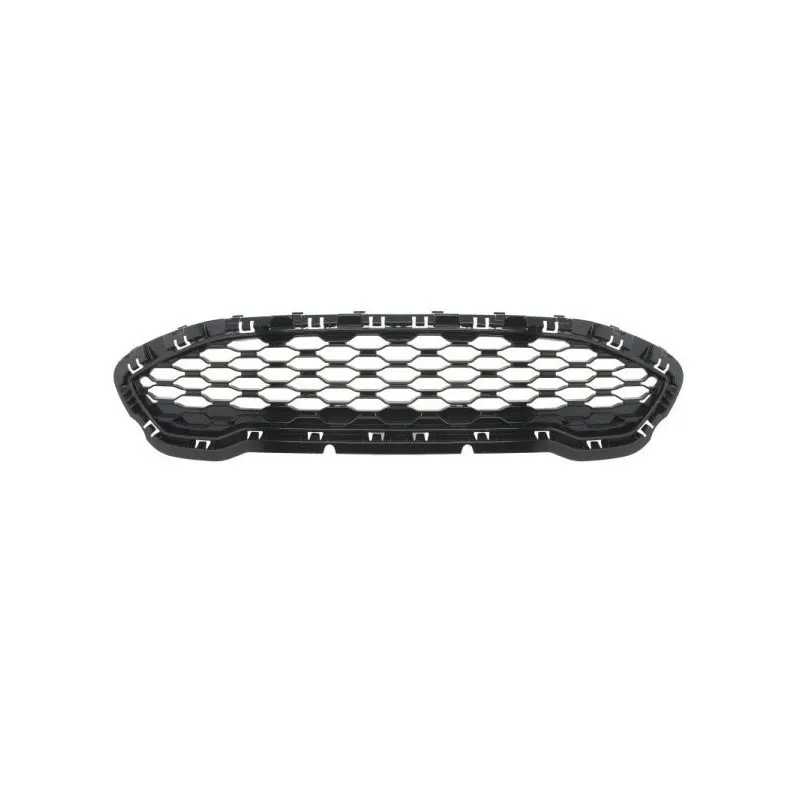 Grille de radiateur BLIC 6502-07-2566999P