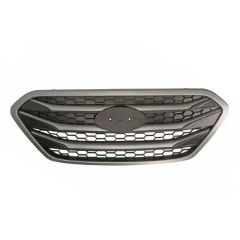 Grille de radiateur BLIC 6502-07-3177990P