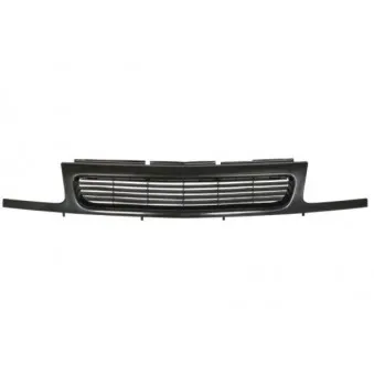 Grille de radiateur BLIC 6502-07-5021991P