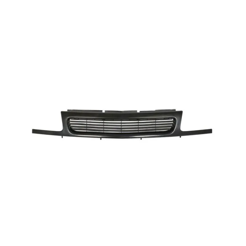 Grille de radiateur BLIC 6502-07-5021991P