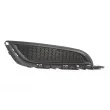 Grille de ventilation, pare-chocs avant droit BLIC 6502-07-5079996P - Visuel 1