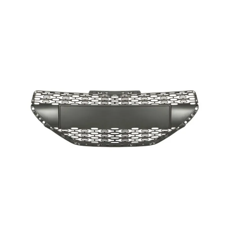 Grille de radiateur BLIC 6502-07-5509990P