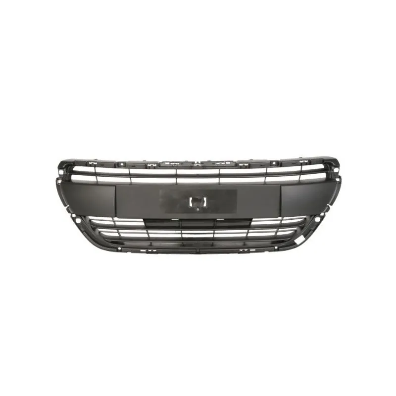 Grille de radiateur BLIC 6502-07-5509992Q