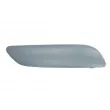 Baguette et bande protectrice, pare-chocs avant droit BLIC 6502-07-5514928Q - Visuel 1