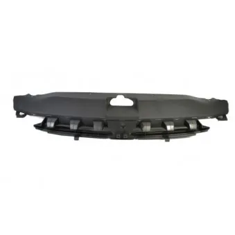 Grille de radiateur BLIC 6502-07-5514990Q