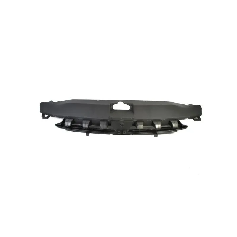 Grille de radiateur BLIC 6502-07-5514990Q
