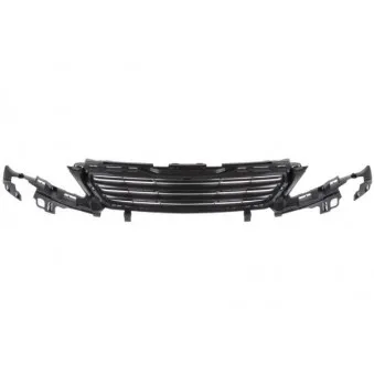 Grille de radiateur BLIC 6502-07-5519992Q