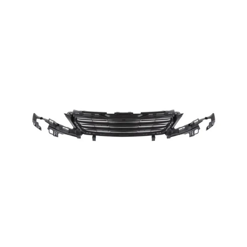 Grille de radiateur BLIC 6502-07-5519992Q
