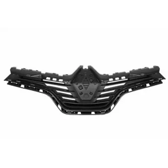 Grille de radiateur BLIC 6502-07-6009990P