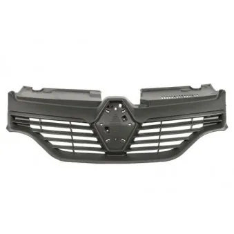 Grille de radiateur BLIC 6502-07-6029990P