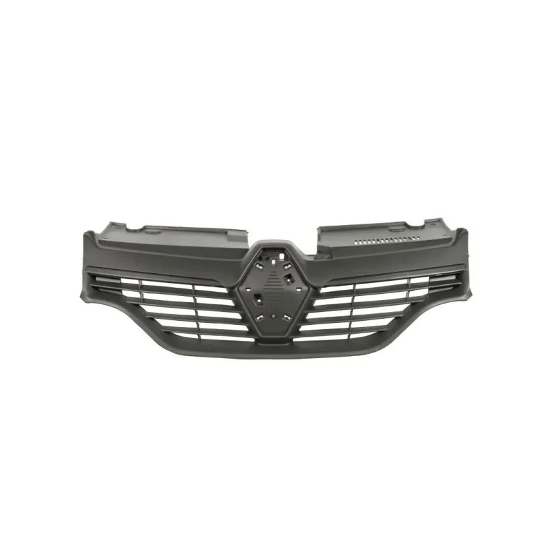Grille de radiateur BLIC 6502-07-6029990P