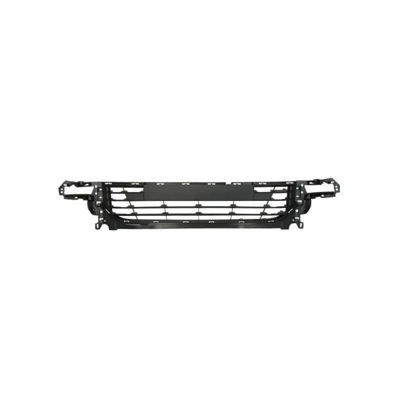 Grille de ventilation, pare-chocs BLIC 6502-07-6033911Q
