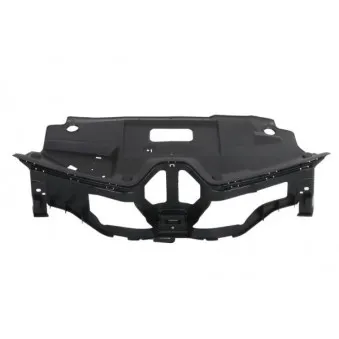 Grille de radiateur BLIC