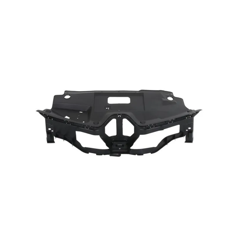 Grille de radiateur BLIC 6502-07-6047991P